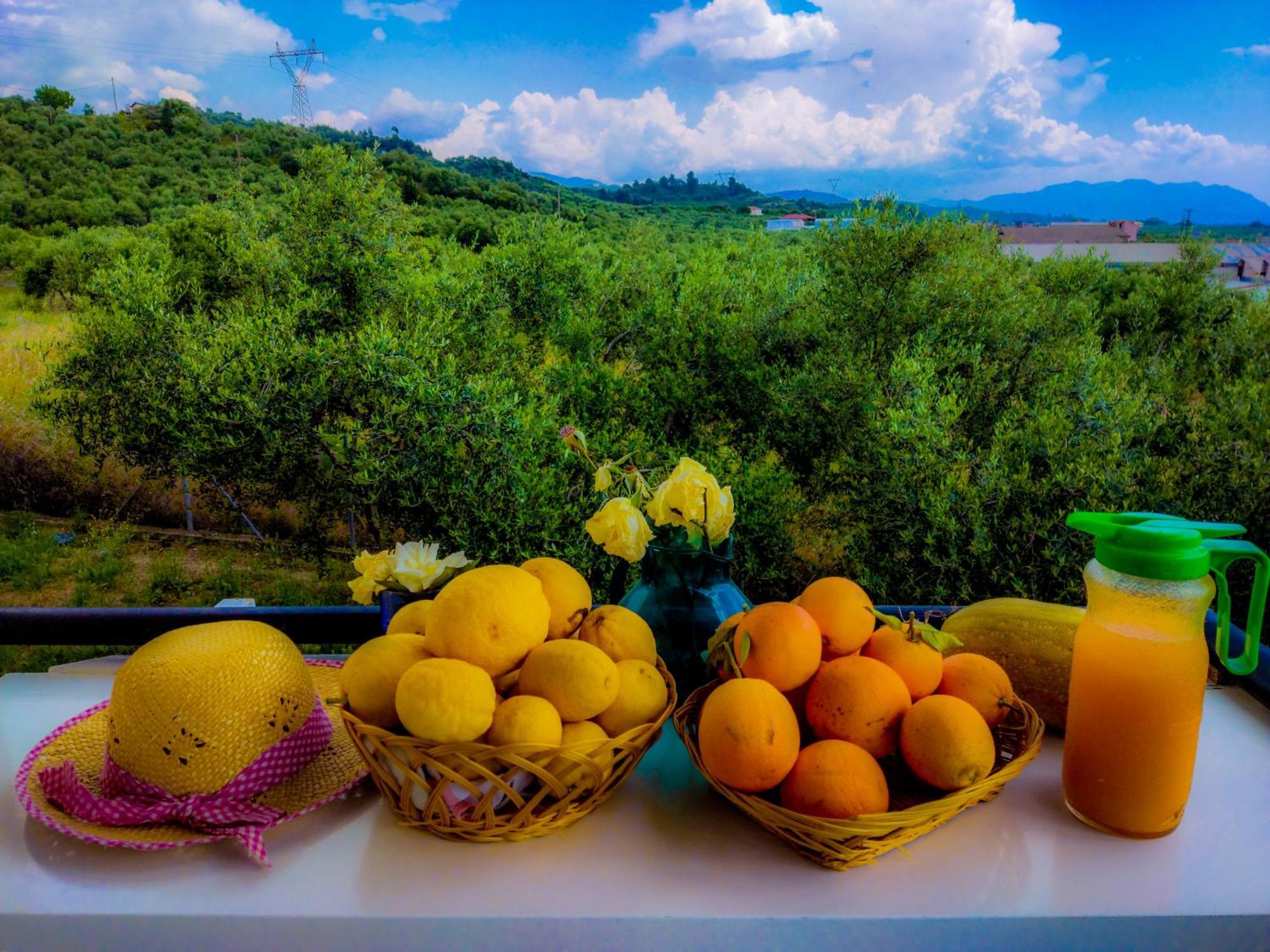 Your Spot West Peloponnese Shared Countryhouse Захаро Екстер'єр фото